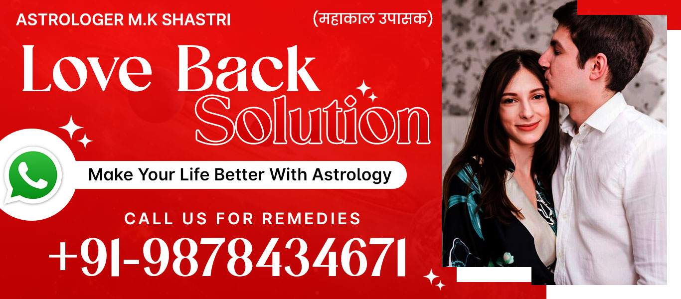 Love Back Solution